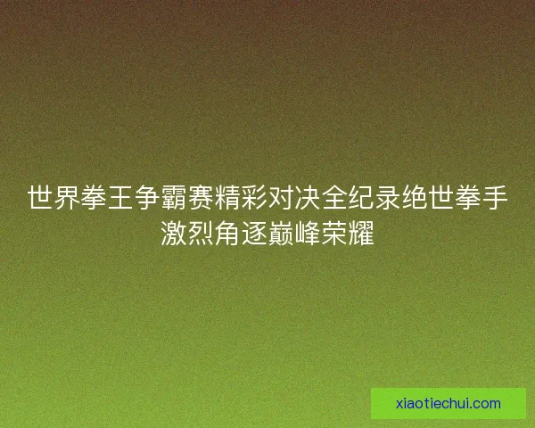 世界拳王争霸赛精彩对决全纪录绝世拳手激烈角逐巅峰荣耀