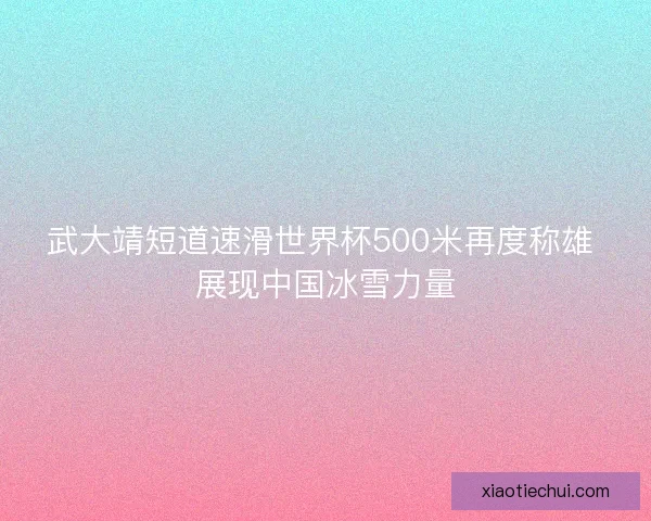 武大靖短道速滑世界杯500米再度称雄 展现中国冰雪力量 武大靖短道速滑世界杯500米再度称雄 展现中国冰雪力量