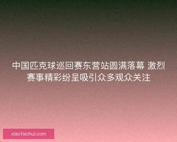 中国匹克球巡回赛东营站圆满落幕 激烈赛事精彩纷呈吸引众多观众关注 中国匹克球巡回赛东营站圆满落幕 激烈赛事精彩纷呈吸引众多观众关注