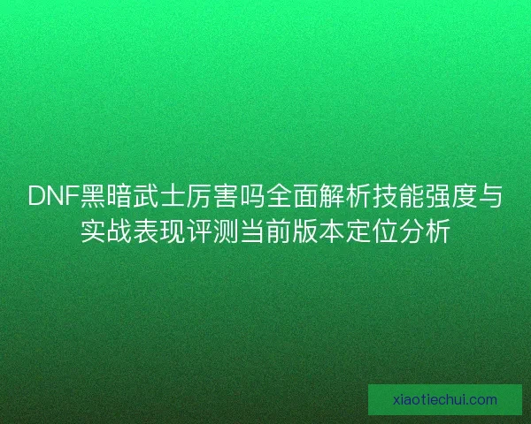 DNF黑暗武士厉害吗全面解析技能强度与实战表现评测当前版本定位分析