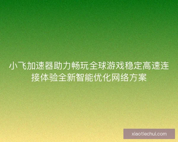 小飞加速器助力畅玩全球游戏稳定高速连接体验全新智能优化网络方案